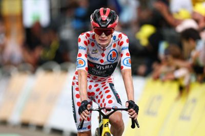 Jonas Vingegaard nåede ikke at vinde en etape i årets Tour de France, inden han blev tvunget til at udgå. Billedet er fra 14. etape.