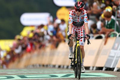Jonas Vingegaard udgik af årets Tour de France efter et styrt.