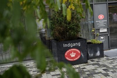 En dommer i Retten på Frederiksberg skal onsdag beslutte, om der er grundlag for at varetægtsfængsle to mænd, som har meldt sig selv efter at have været efterlyst i et år for medvirken til et drab i den københavnske bydel Tingbjerg.