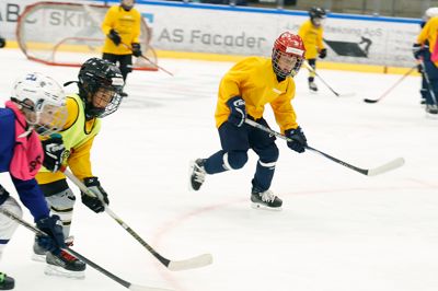 Hele ugen har der været fart på isen i Kvik Hockey Arena fra morgen til aften. Under instruktion fra kendte spillere som Frans Nielsen, Peter Regin og Mathias Bau Hansen knokler 133 drenge og piger på i sommerferiens sidste uge.
