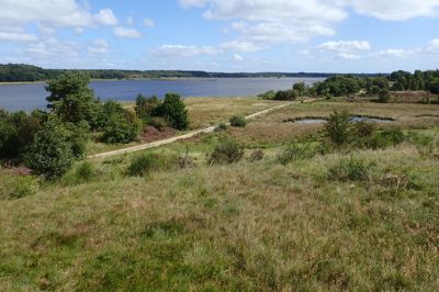 Ved et af de smukkeste naturområder i kommunen, byder Ikast-Brande Fodslaw og Bøllingsø Bryghus på vandreture søndag.