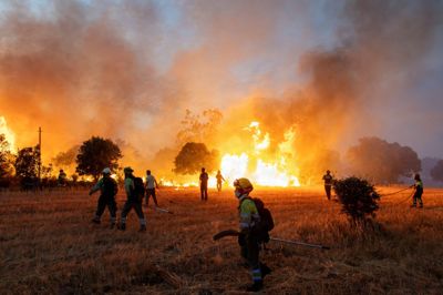Både beredskab og indbyggere kæmpede her i slutningen af juli med at slukke de omfattende skovbrande i Zamora, som ligger i den vestlige del af Spanien.