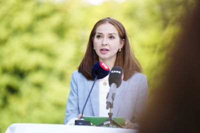 Klimaminister Samira Nawa vil have flere elmaster op frem for besværlige jordkabler.