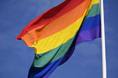 LGBT+ Danmarks bestyrelse har uddelt Årets Laks under Copenhagen Pride siden 2003 til personer og organisationer, som tør svømme mod strømmen.