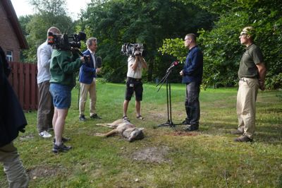 Med den døde ulv foran sig holdt minister for natur og dyrevelfærd Christian Rabjerg Madsen (S) fredag morgen pressemøde i selskab med Naturstyrelsen.