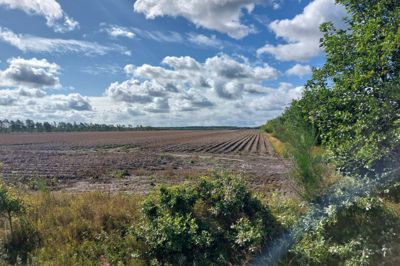 Her skulle lange rækker af solpaneler trække strøm til 60.000 husstande ud af solen på markerne ved Hessellundvej mellem Haderup og Simmelkær. For fem år siden blev Solar Park Gindeskov godkendt af Herning Kommune. Solcelleparken er gået i stå, fordi elnettet ikke er klar til at aftage strømmen.