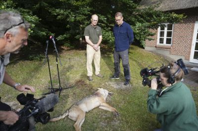 Med den døde ulv foran sig holdt minister for natur og dyrevelfærd Christian Rabjerg Madsen (S) fredag morgen pressemøde i selskab med Naturstyrelsen.