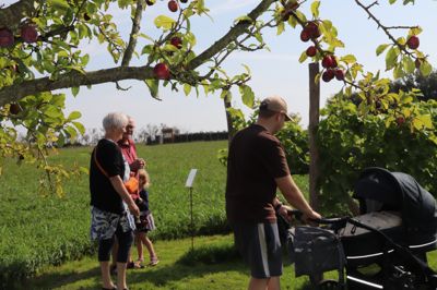Høstdagen byder op oplevelser for hele familien.