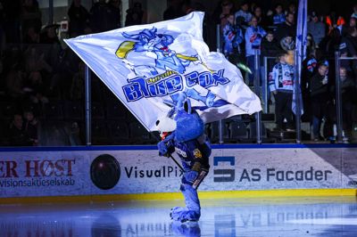 Maskotten Victor kan roligt gå på isen i aften, når Blue Fox møder Aalborg. Selskabet var klubben var ellers i aftes sat under tvangsopløsning, men det beroede på en fejl hos selskabsstyrelsen.