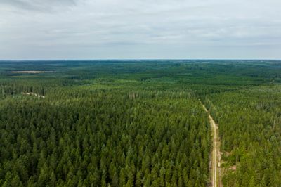 Målet med de statslige energiparker er at firedoble produktionen af el fra sol og vind på land frem mod 2030.