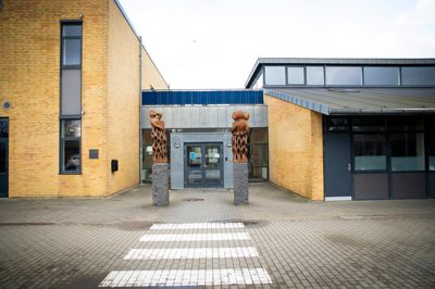 »Børn, hvis udvikling kræver særlig hensyntagen eller støtte, skal have specialundervisning og specialpædagogisk bistand, og henvisningen skal baseres på den enkelte elevs undervisningsbehov.« Sådan skriver Karina Hedegaard i dette debatindlæg.