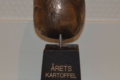 Kartoffelfestivalen i Frederiks finder sted senere i denne måned. Her skal årets kartoffel også findes.