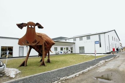 Koen ved Thise Mejeri Foto Casper Jacobsen