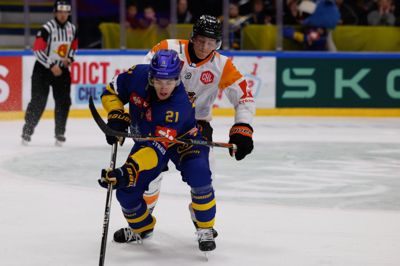 Hjalte Thomsen og holdkammeraterne fra Herning Blue Fox leverede et fornemt comeback i hjemmekampen mod Herlev.