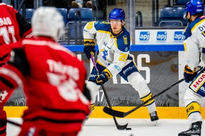 Lukas Bang og Blue Fox hentede fredag en sikker sejr over Sønderjyske og har dermed fire sejre af fire mulige i Metal Ligaen.