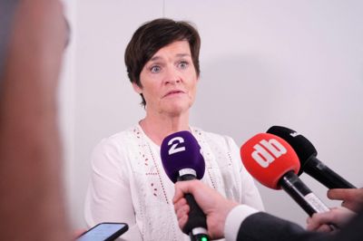 Bistandsadvokat Mette Yvonne Larsen har anmodet om en genbehandling af erstatningsspørgsmålet vedrørende Frogner-kvinden i sagen mod Marius Borg Høiby.