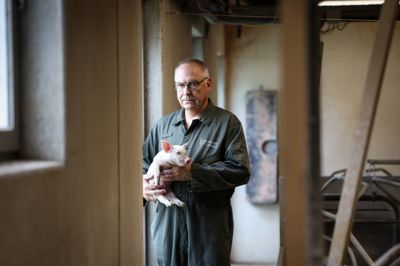 Leif Hølledig Nørgaard, formand for Herning-Ikast Landboforening, frygter for hele erhvervets fremtid efter regeringens nye svine-planer.