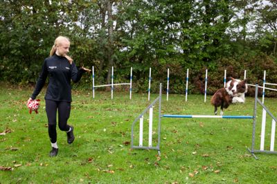 Lærke Sandvad Christensen har en bane i haven, hvor hun kan træne med border collien Milo, der blev kåret til årets hund i kategorien »klasse 3 stor« - den bedste klasse for store hunde.