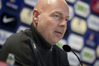 Kun 7 af 24 spillere i den nuværende trup har spillet mere end 25 landskampe, så der er rig mulighed for at træde i karakter, mener Brian Riemer.