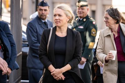 Ifølge minister for samfundssikkerhed og beredskab Lisbeth Bech-Nielsen (SF) understreger trusselsbilledet, at der er behov for etablering af en midlertidig krisekontakt mellem myndigheder, erhvervsliv og civilsamfund.