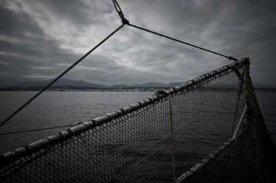 Bomtrawl er en fiskemetode, hvor en trawlpose på en jernstang pløjer hen over havbunden. Fremover vil brug af bomtrawl og andre bundslæbende fiskeredskaber være forbudt på og omkring fem stenrev i Nordsøen.