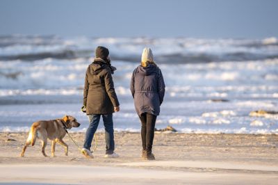 Det lune efterårsvejr kan måske nydes med en gåtur ved stranden. Onsdag holder det tørt, men til gengæld blæser det en smule op, siger Sandra Nygaard fra DMI.