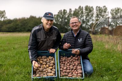 Strange Hedelund Jonassen (t.v.) viste glædeligt sine kartofler frem, da Jan Birk Knudsen kiggede forbi.