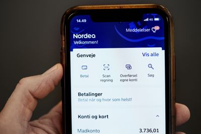 Den mest udbredte form for netbanksvindel er såkaldt »vishing«. Her ringer svindlere til ofre og udgiver sig for at være en anden - for eksempel en bankrådgiver.