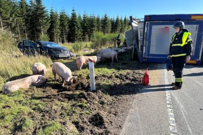 Uheldet skete på rute 467, Ringkøbingvej, på omfartsvejen nord om Videbæk. Lastbilen er væltet ved et vejsving på højde med Prindalsvej