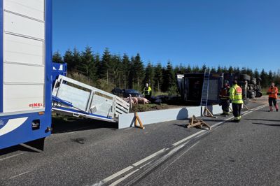 Fredag eftermiddag var indsatsleder Michael Nielsen på en seks timer lang indsats ved Videbæk, hvor en væltet grisetransport skulle tømmes for omkring 220 grise. Her ses han stå i den gule jakke ved den væltede grisetransport.