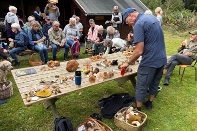 Mavepinen sorteres fra: Efter turen samledes deltagerne ved spejderhytten, hvor biolog Jann Ribergaard gennemgik kurvene for at sikre, at ingen giftige svampe kom med hjem til middagsbordet.
