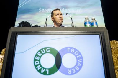Interesseorganisationen Landbrug & Fødevarer, hvor Søren Søndergaard er formand, vil have regeringen til at droppe sin bekendtgørelsesændring, der sætter en stop for nye svineproduktioner.