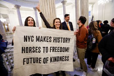 Flere var torsdag mødt frem ved rådhuset i New York City for at fejre, at byrådet har vedtaget et forbud mod hestevognskørsel i Central Park fra juni 2028.