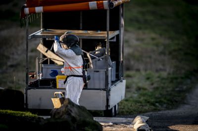 Også i 2022, hvor billedet er fra, brød der fugleinfluenza ud på en kalkunfarm på Sjælland.