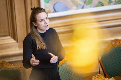 Theresa Scavenius blev valgt ind for Alternativet ved valget i 2022. I 2023 blev hun løsgænger og stiftede partier Grønne Demokrater, som hun nu har lukket.
