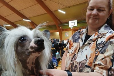 Ninja fik børstet sine få lokker og blev smurt med olie på sin hårløse krop, inden hun skulle i ringen med sin ejer, Dorthe Fuglsang fra Ådum ved Tarm. Ninja er af racen chinese crested - den hårløse variant, som kun har nogle få buskede duske i hoved, på halespidsen og ved poterne. Det er lidt af et arbejde at have en hårløs hund, for den fryser naturligvis om vinteren og skal have tøj på, og om sommeren bliver Ninja solskoldet, hvis ikke hendes ejer giver den lille hund en særlig uv-beskyttelsesdragt på. Ninja kan nemlig ikke tåle solcreme på sin sarte hud. Hjemme i Ådum har Dorthe Fuglsang også en chinese crested med pels - en såkaldt powderpuf - og to shetland sheepdogs, der også har masser af pels.