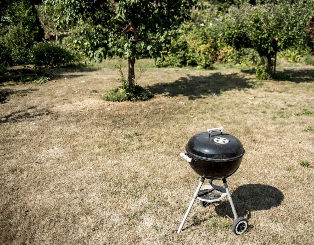 Sørg altid for at holde afstand til bevoksning, når du griller eller laver bål. Lad helt være, hvis det er tørt og blæser meget. Foto: Ritzau Scanpix/ Arkiv