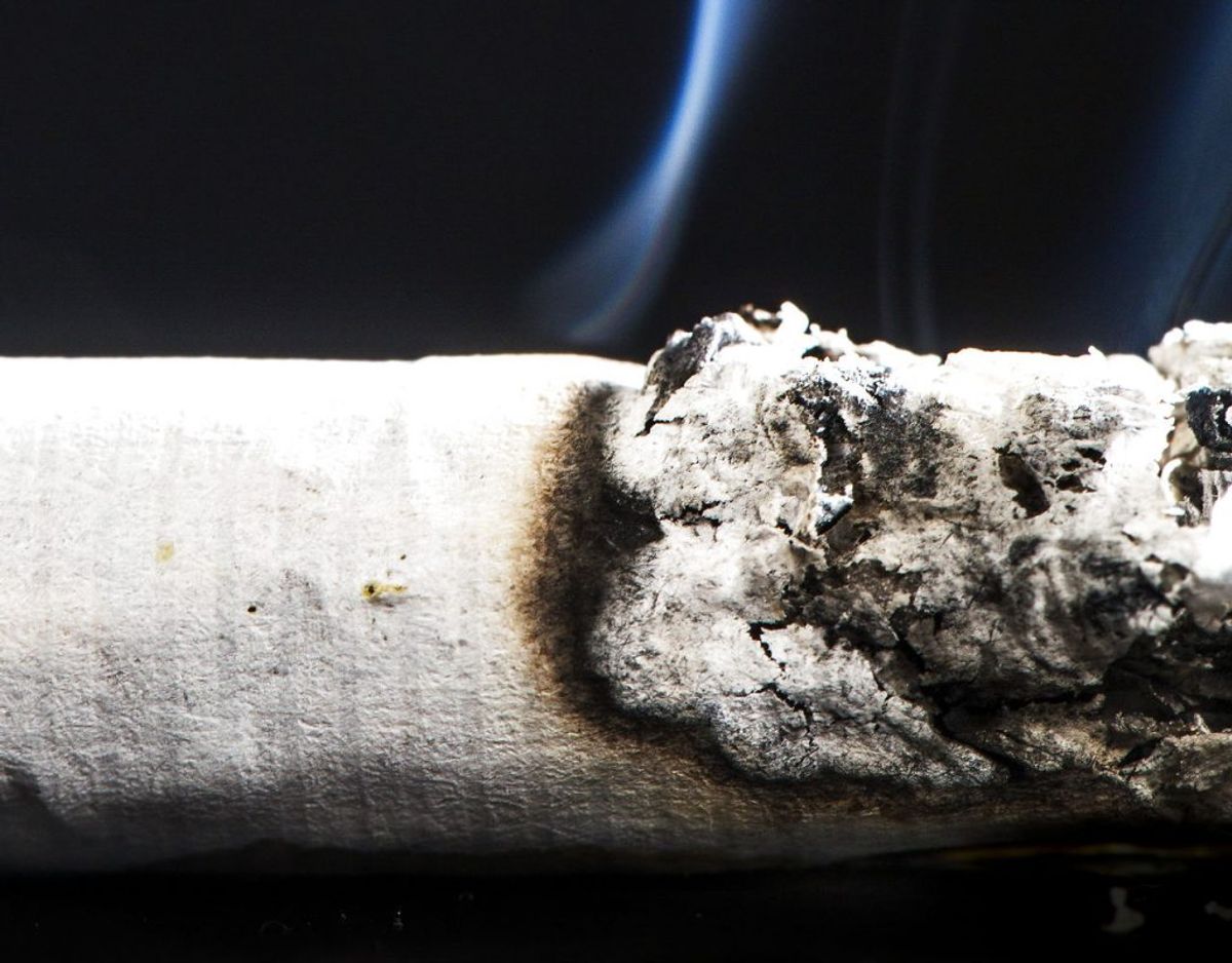 Smid ikke cigaretskodder og lignende i naturen. Foto: Sophia Juliane Lydolph/Scanpix 2017