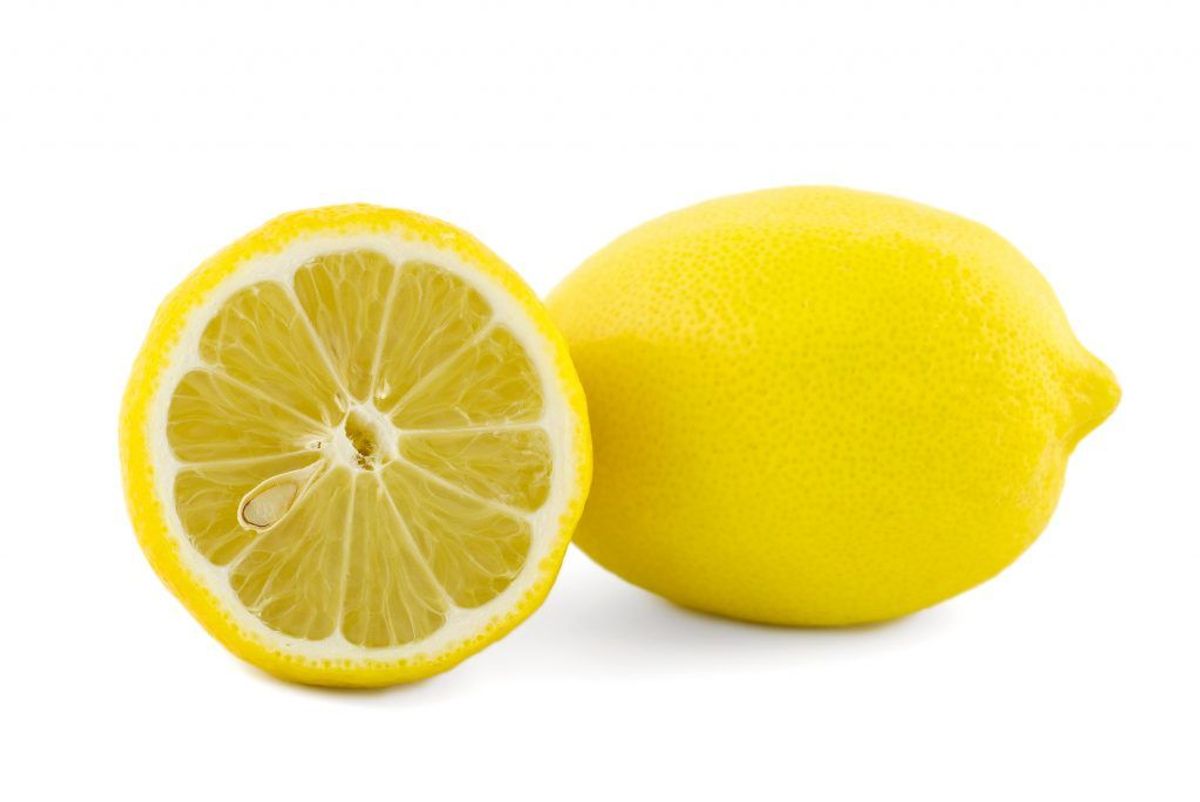 De kan heller ikke lide citron – eller bare duften af det – så du kan eventuelt overveje at skifte til rengøringsmiddel, der dufter af citron. Kilde: TV2. Arkivfoto.