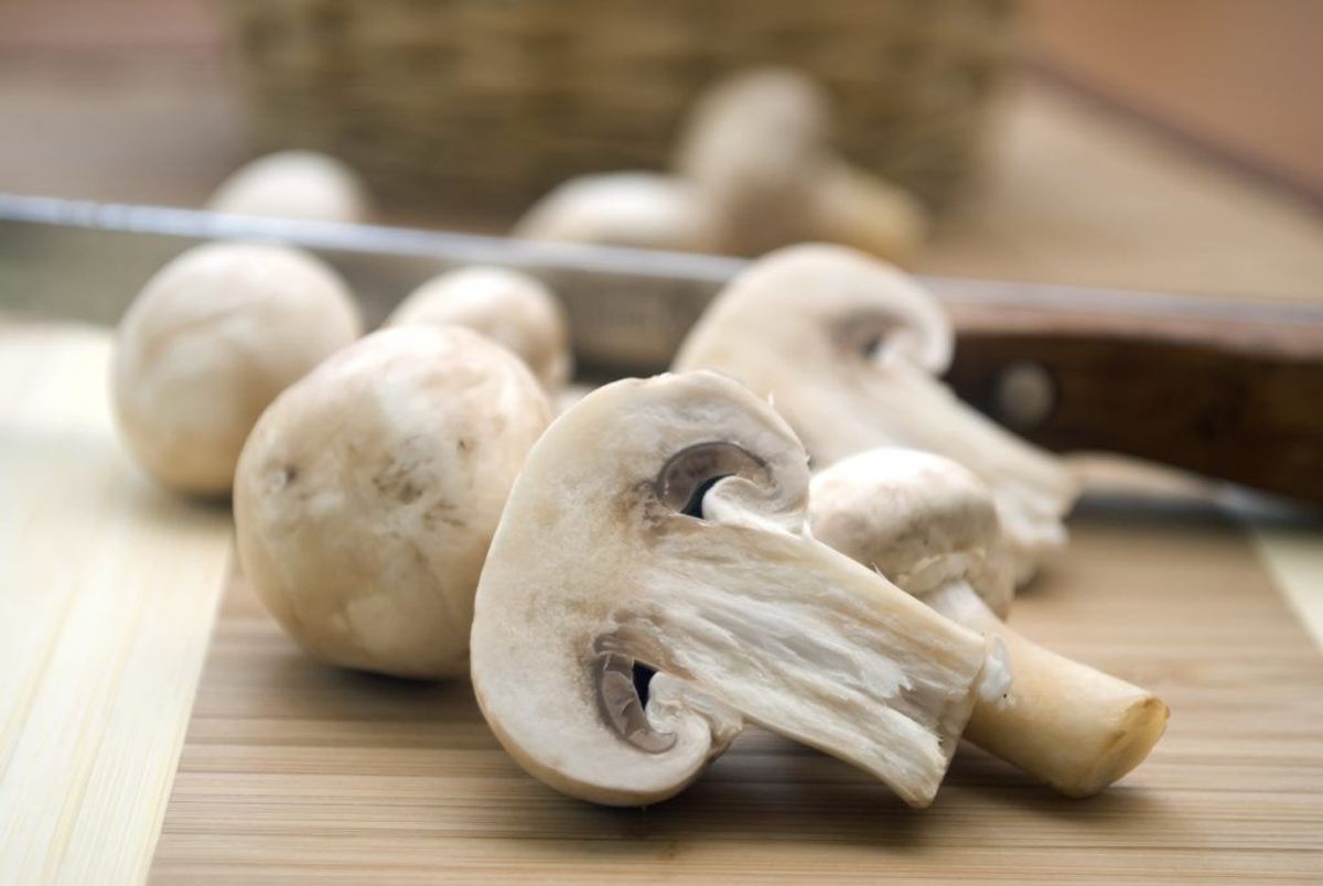 Champignon. Kilde: Good Housekeeping. Arkivfoto.