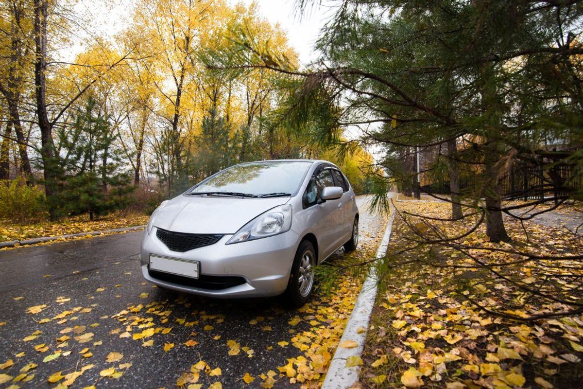 Honda Fit. Arkivfoto.