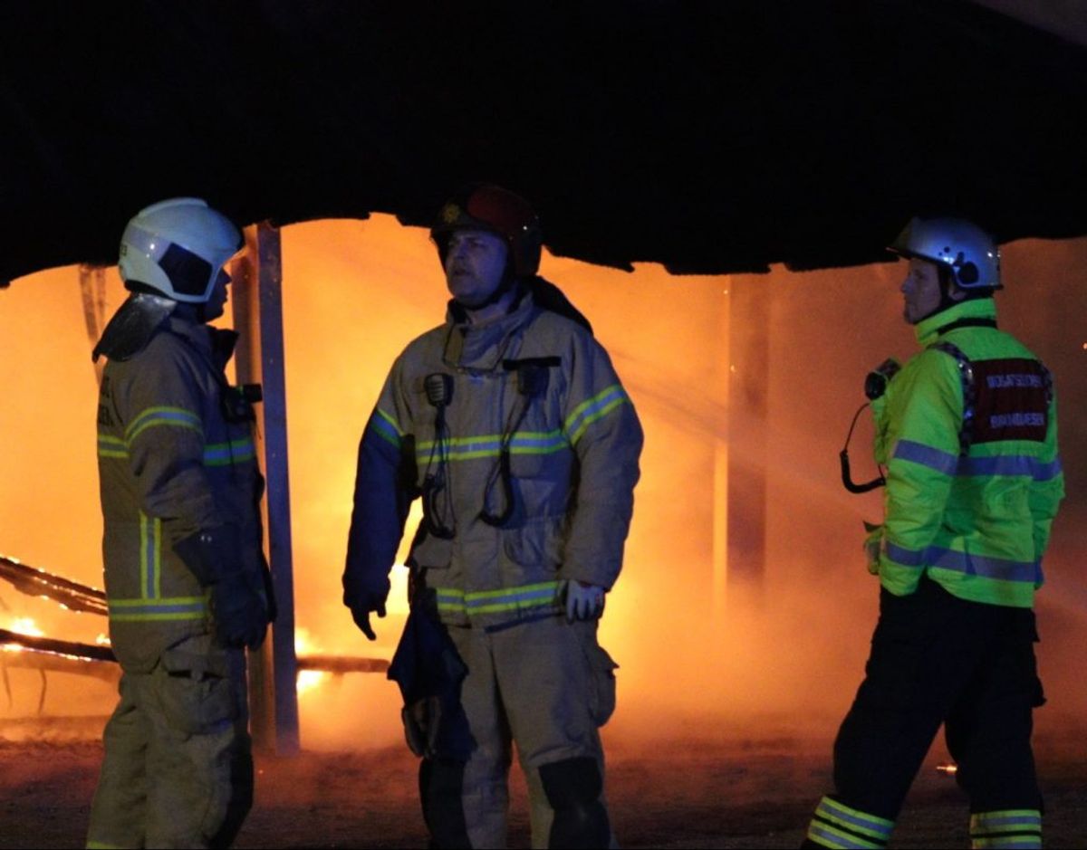 Foto: Presse-fotos.dk.