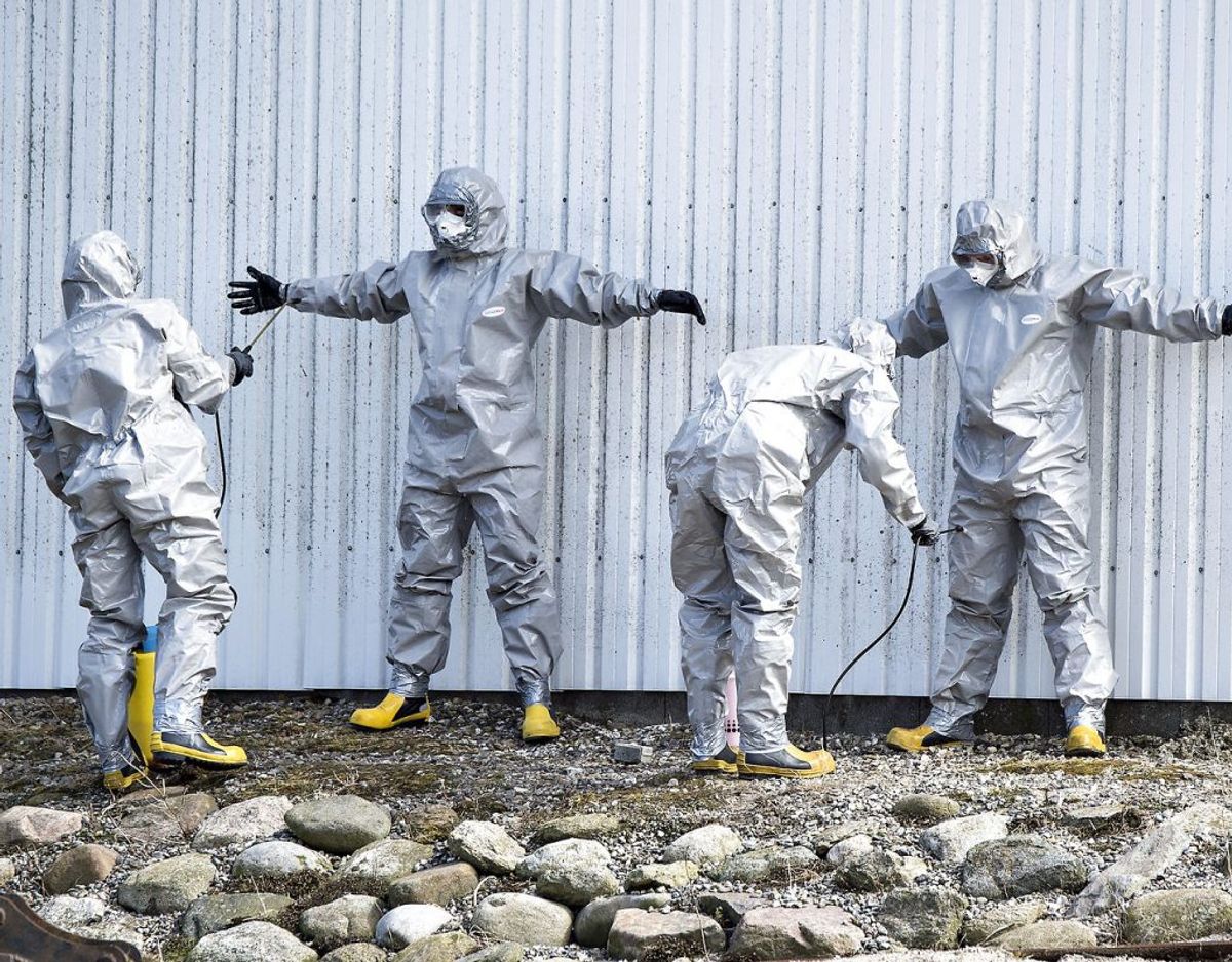 Beredskabsfolk i sikkerhedsdragter står for aflivningen, når der konstateres fugleinfluenza i Danmark. (Foto: Henning Bagger/Scanpix)