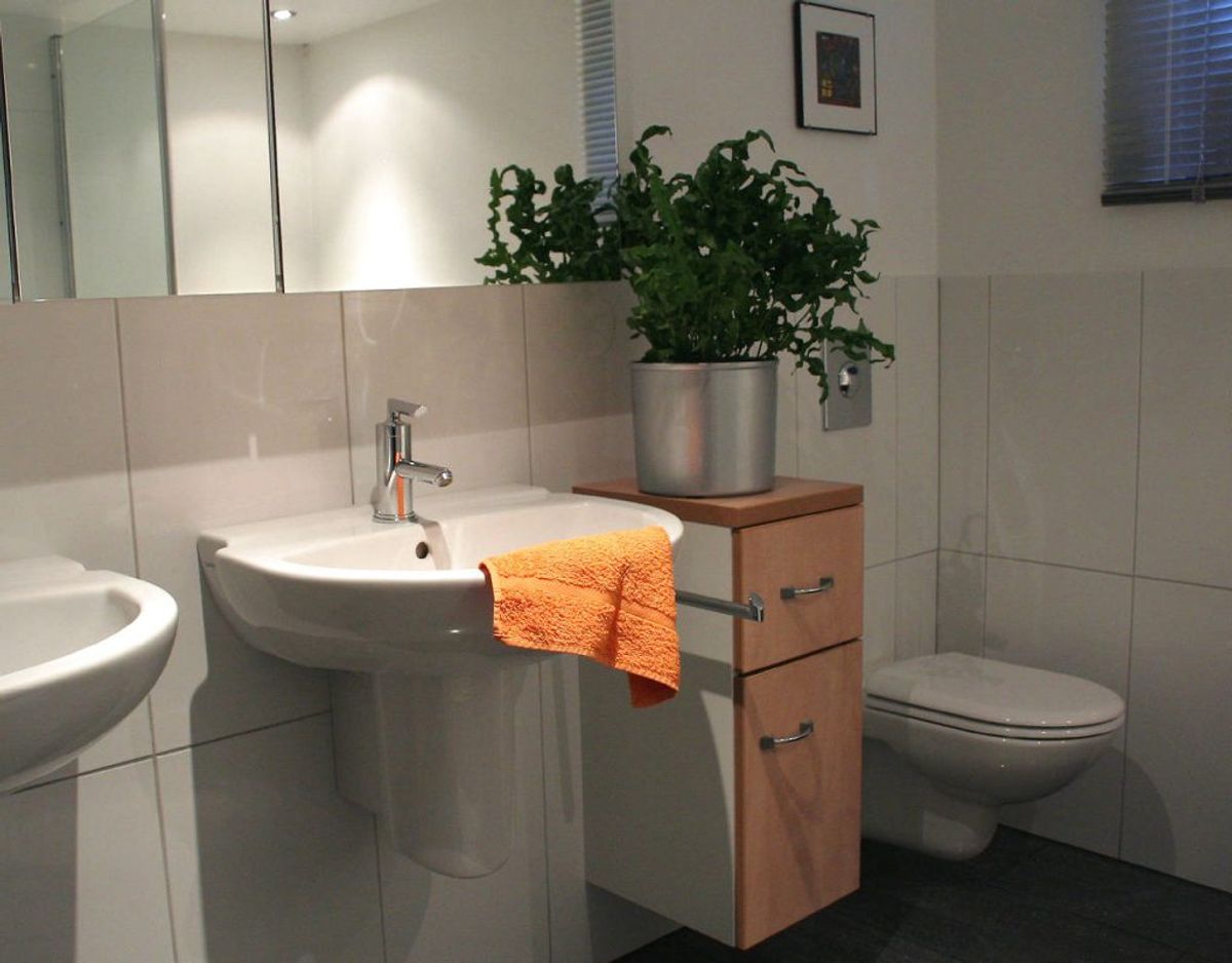 Det er også vigtigt at sørge for at rengøre toilettet og toiletvasken ofte, da der er mange bakterier i netop det rum. Foto: Scanpix/ genre