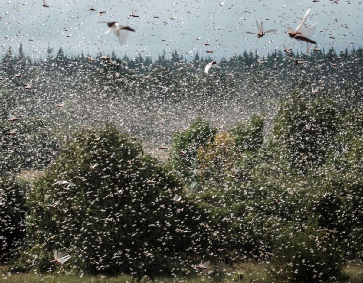 Foto: Yasuyoshi CHIBA / AFP