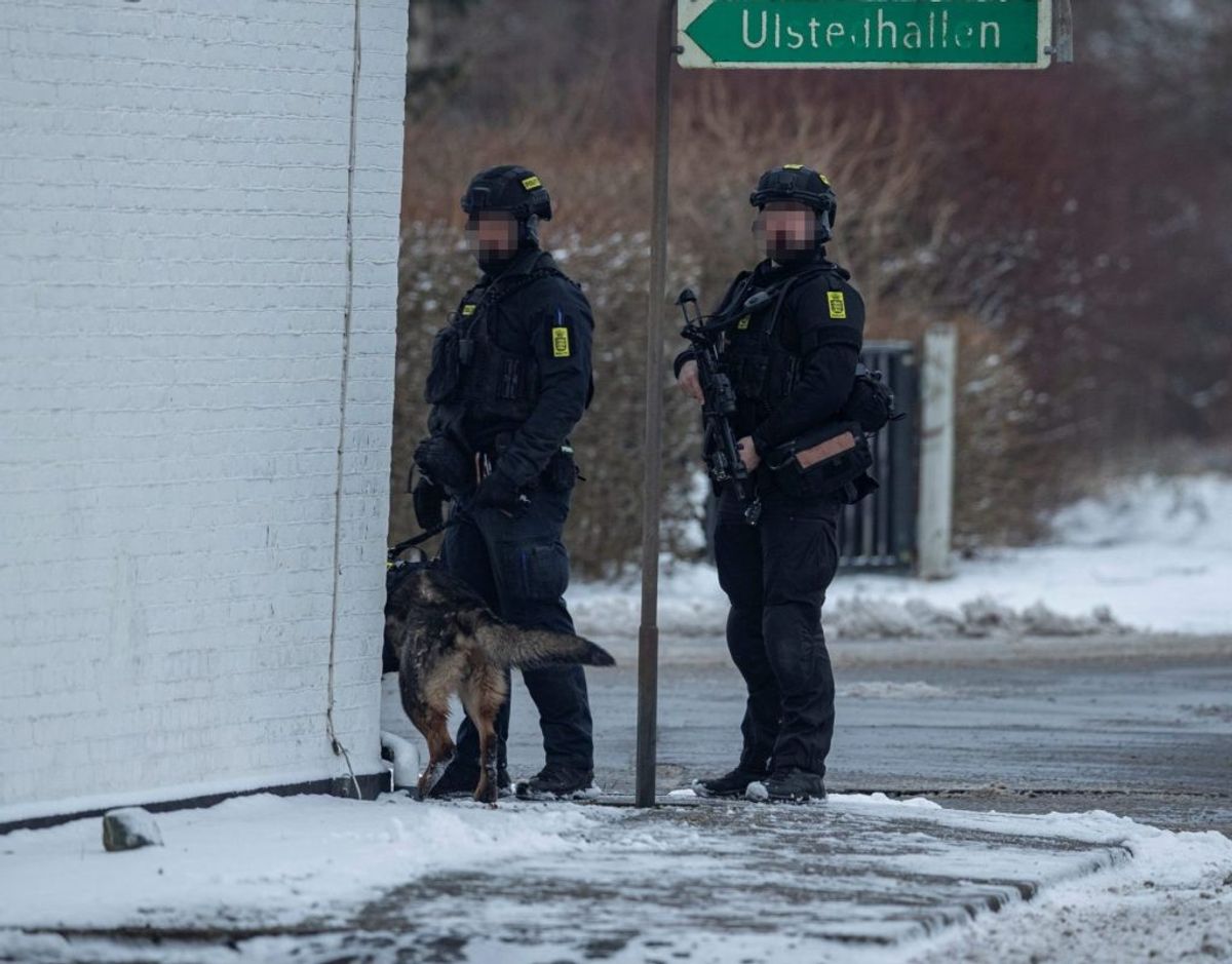 Kampklædt politi med trukne våben anholder mand. Foto: Rasmus Skaftved