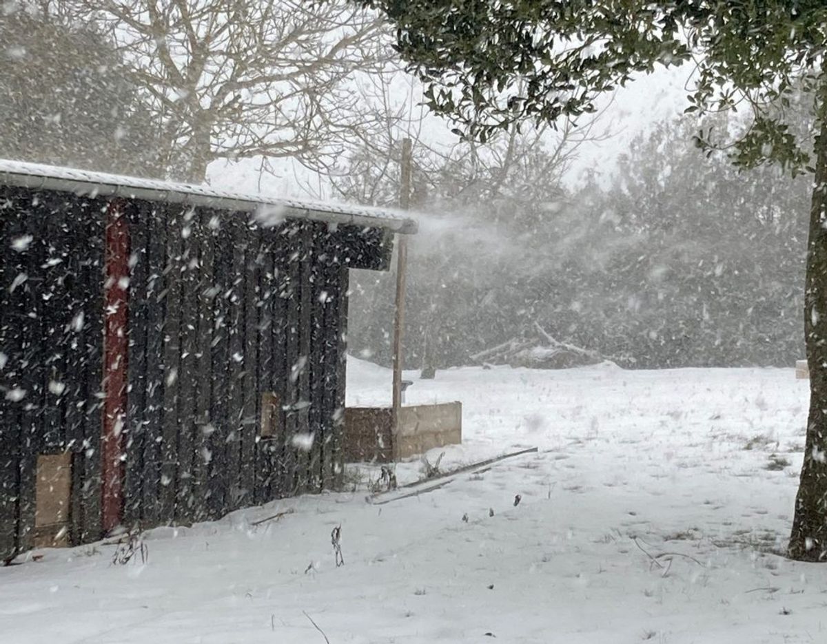 Sne i Nyborg. Foto: Louise Pedersen.