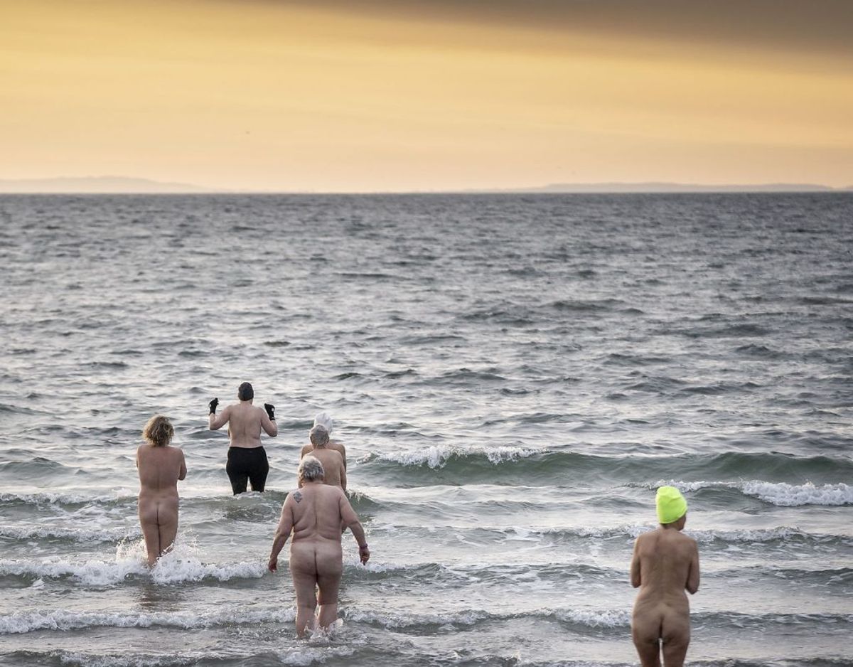 Vinterbadere bader i morgensolen omkring vandet ved havnen ved Faxe Ladeplads på Sydsjælland, mandag den 15. februar 2021.. (Foto: Mads Claus Rasmussen/Ritzau Scanpix)