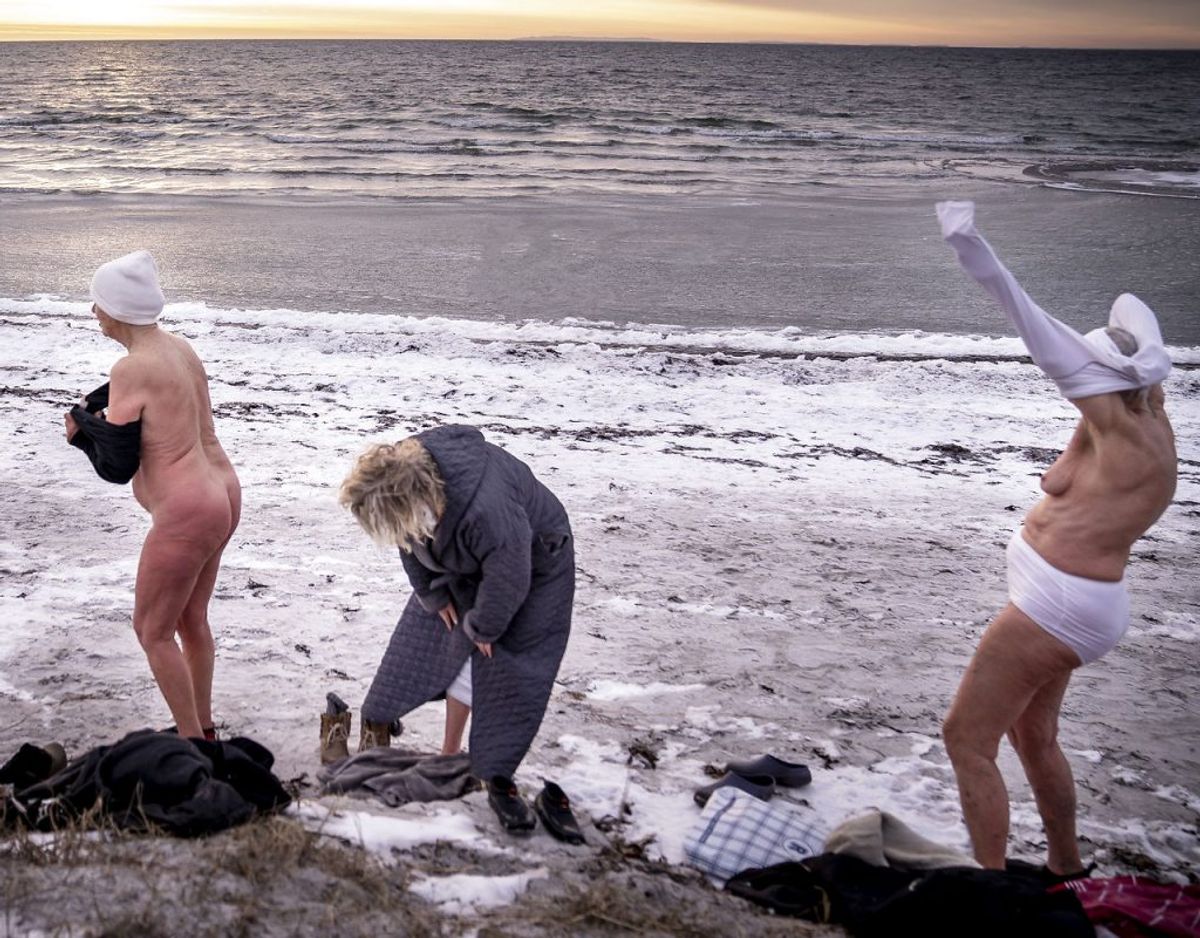 Vinterbadere bader i morgensolen omkring vandet ved havnen ved Faxe Ladeplads på Sydsjælland, mandag den 15. februar 2021.. (Foto: Mads Claus Rasmussen/Ritzau Scanpix)