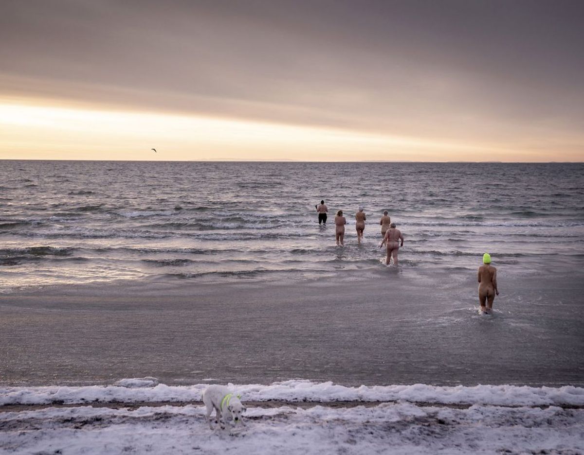 Vinterbadere bader i morgensolen omkring vandet ved havnen ved Faxe Ladeplads på Sydsjælland, mandag den 15. februar 2021.. (Foto: Mads Claus Rasmussen/Ritzau Scanpix)